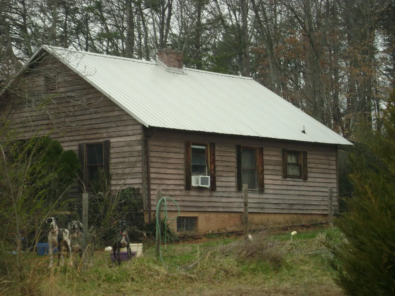 White metal roof on an old wood sided farmhouse, from a Asphalt Shingle Roof Repair job in Scipio Center